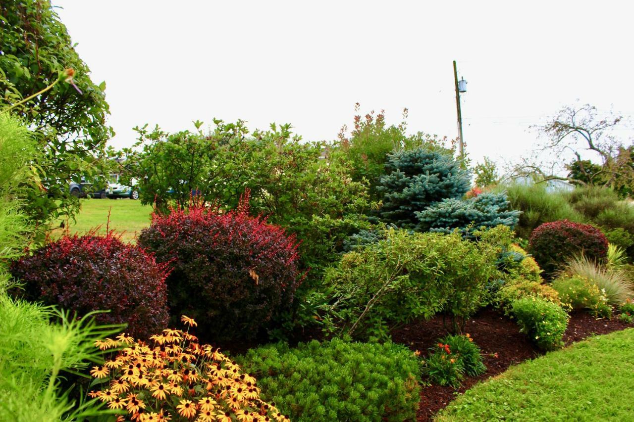 Grand pré Evangeline Inn & Motel المظهر الخارجي الصورة